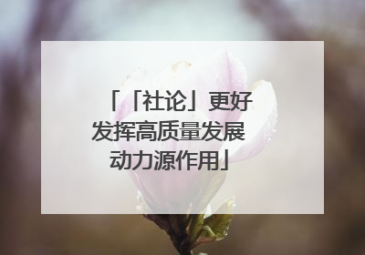 「社论」更好发挥高质量发展动力源作用