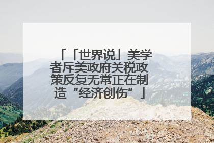 「世界说」美学者斥美政府关税政策反复无常正在制造“经济创伤”