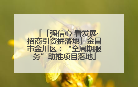 「强信心 看发展·招商引资拼落地」金昌市金川区：“全周期服务”助推项目落地