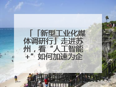 「新型工业化媒体调研行」走进苏州，看“人工智能+”如何加速为企业“变现”