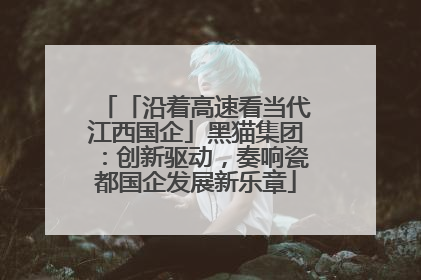 「沿着高速看当代江西国企」黑猫集团：创新驱动，奏响瓷都国企发展新乐章
