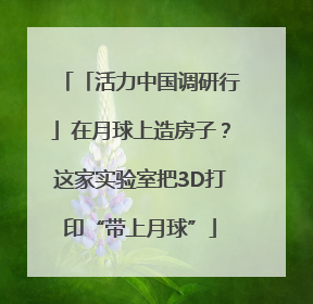「活力中国调研行」在月球上造房子？这家实验室把3D打印“带上月球”