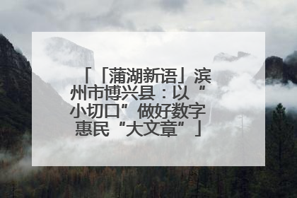 「蒲湖新语」滨州市博兴县：以“小切口”做好数字惠民“大文章”