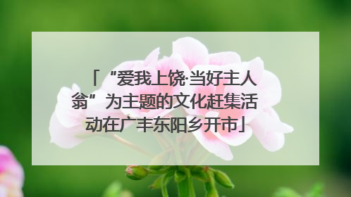 “爱我上饶·当好主人翁”为主题的文化赶集活动在广丰东阳乡开市