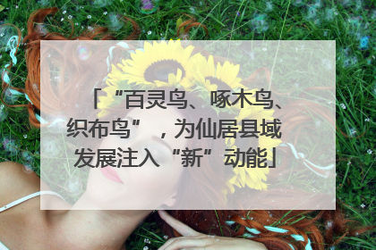 “百灵鸟、啄木鸟、织布鸟”，为仙居县域发展注入“新”动能