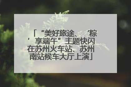“美好旅途、‘粽’享端午”主题快闪在苏州火车站、苏州南站候车大厅上演
