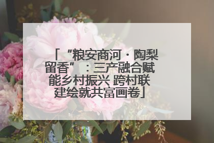 “粮安商河・陶梨留香”：三产融合赋能乡村振兴 跨村联建绘就共富画卷