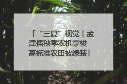 “三夏”视觉｜孟津插秧季农机穿梭 高标准农田披绿装