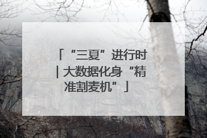 “三夏”进行时｜大数据化身“精准割麦机”