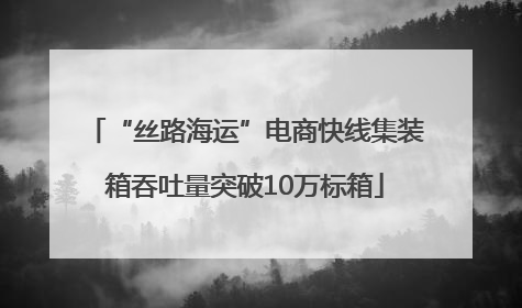 “丝路海运”电商快线集装箱吞吐量突破10万标箱