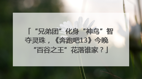 “兄弟团”化身“神鸟”智夺灵珠，《奔跑吧13》今晚“百谷之王”花落谁家？