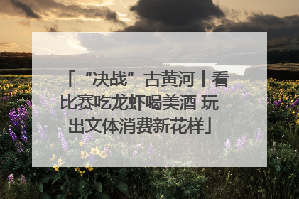 “决战”古黄河丨看比赛吃龙虾喝美酒 玩出文体消费新花样