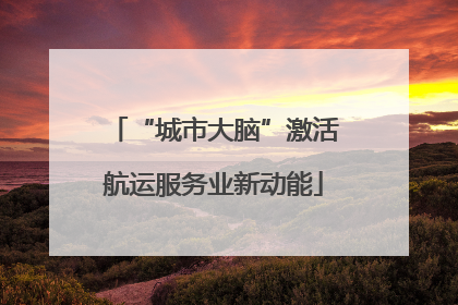“城市大脑”激活航运服务业新动能