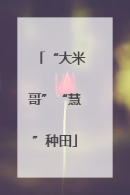 “大米哥”“慧”种田