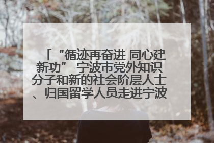 “循迹再奋进 同心建新功” 宁波市党外知识分子和新的社会阶层人士、归国留学人员走进宁波舟山港穿山港区