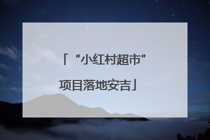 “小红村超市”项目落地安吉