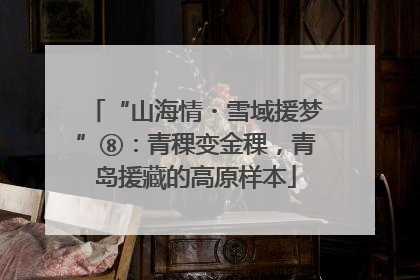 “山海情・雪域援梦”⑧：青稞变金稞，青岛援藏的高原样本