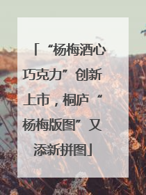 “杨梅酒心巧克力”创新上市，桐庐“杨梅版图”又添新拼图