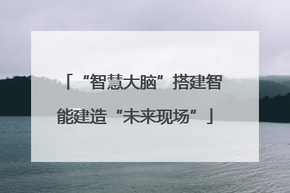 “智慧大脑”搭建智能建造“未来现场”