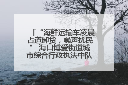 “海鲜运输车凌晨占道卸货，噪声扰民” 海口博爱街道城市综合行政执法中队：将联合交警加强长堤路一带巡逻