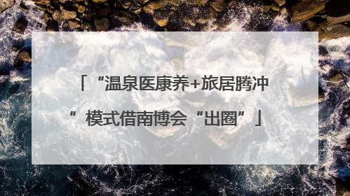 “温泉医康养+旅居腾冲”模式借南博会“出圈”