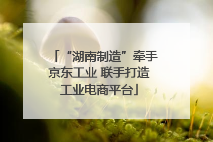 “湖南制造”牵手京东工业 联手打造工业电商平台