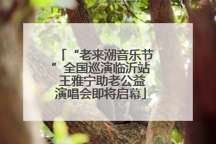 “老来潮音乐节”全国巡演临沂站 王雅宁助老公益演唱会即将启幕