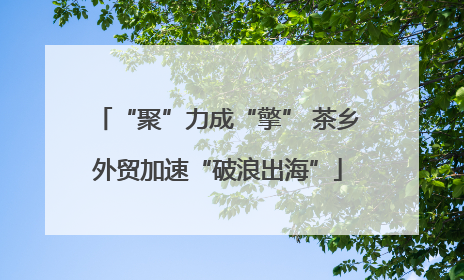 “聚”力成“擎” 茶乡外贸加速“破浪出海”