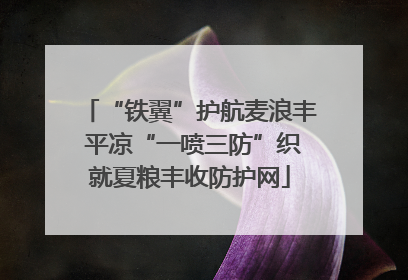 “铁翼”护航麦浪丰 平凉“一喷三防”织就夏粮丰收防护网