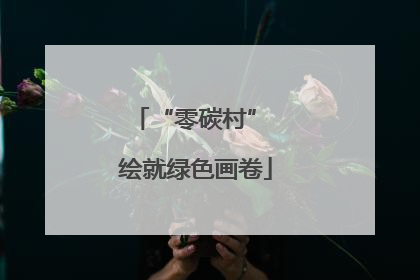 “零碳村” 绘就绿色画卷