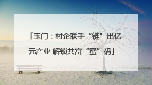 玉门：村企联手“链”出亿元产业 解锁共富“蜜”码