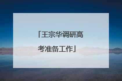 王宗华调研高考准备工作