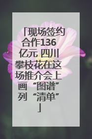 现场签约合作136亿元 四川攀枝花在这场推介会上画“图谱”列“清单”