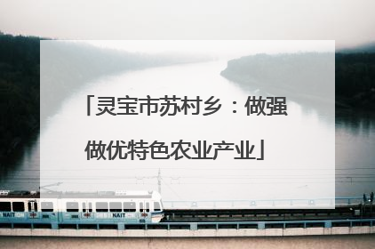 灵宝市苏村乡：做强做优特色农业产业