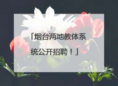烟台两地教体系统公开招聘！