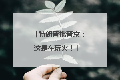 特朗普批普京：这是在玩火！