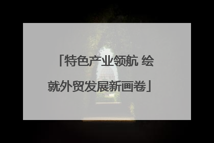 特色产业领航 绘就外贸发展新画卷