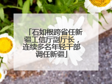 石如根跨省任新疆工信厅副厅长，连续多名年轻干部调任新疆