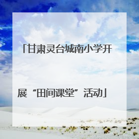 甘肃灵台城南小学开展“田间课堂”活动