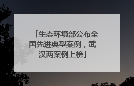 生态环境部公布全国先进典型案例，武汉两案例上榜