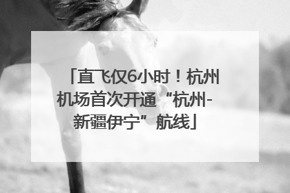 直飞仅6小时！杭州机场首次开通“杭州-新疆伊宁”航线
