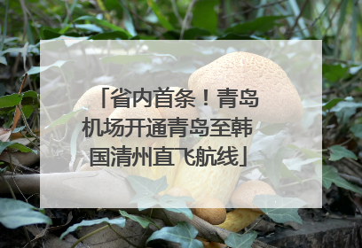 省内首条！青岛机场开通青岛至韩国清州直飞航线