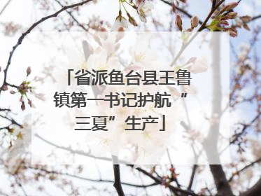 省派鱼台县王鲁镇第一书记护航“三夏”生产