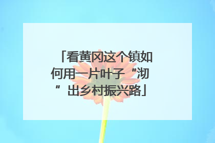 看黄冈这个镇如何用一片叶子“沏”出乡村振兴路