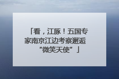 看，江豚！五国专家南京江边考察邂逅“微笑天使”