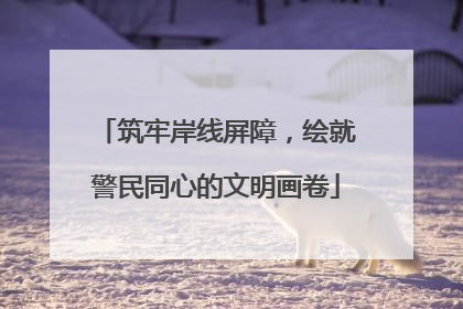 筑牢岸线屏障，绘就警民同心的文明画卷