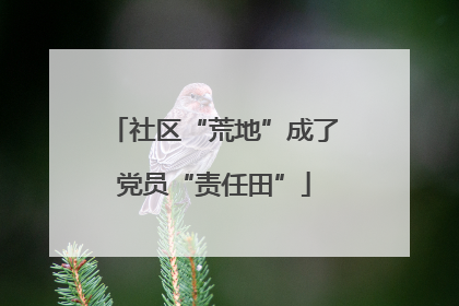 社区“荒地”成了党员“责任田”