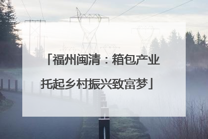 福州闽清：箱包产业托起乡村振兴致富梦