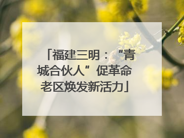 福建三明：“青城合伙人”促革命老区焕发新活力