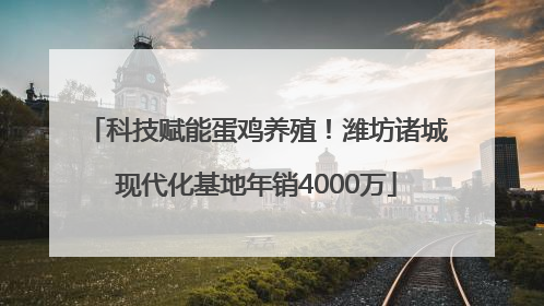 科技赋能蛋鸡养殖！潍坊诸城现代化基地年销4000万